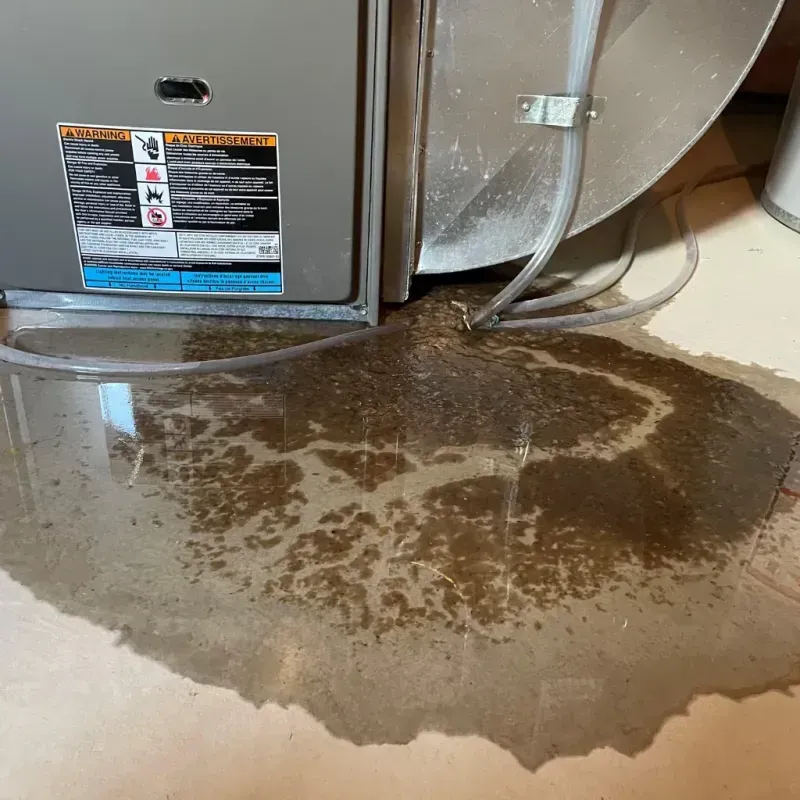 Appliance Leak Cleanup in Pinellas County, FL